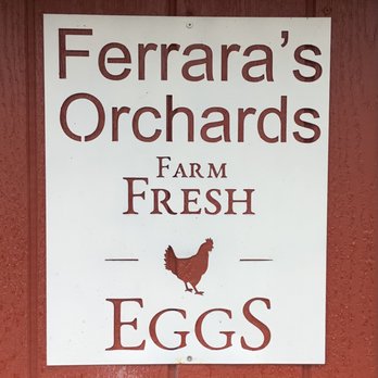 Ferrara's Orchards - Sign on the chicken coop - Pick Your Own Farms Near Me - Mullica Hill, New Jersey Ferrara's Orchards - Sign on the chicken coop - Pick Your Own Farms Near Me - Mullica Hill, New Jersey