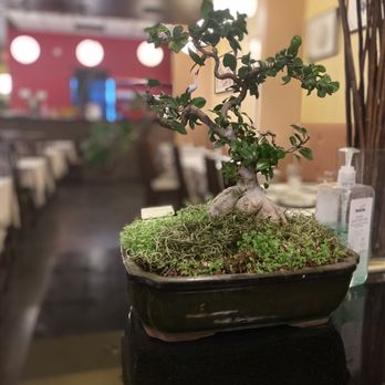 Joy House - Inside - Chinese Near Me - Rocklin, California Joy House - Inside - Chinese Near Me - Rocklin, California