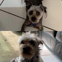Before and after. What a difference!