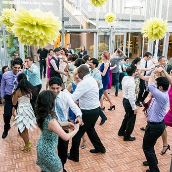 Center for Urban Horticulture - Wedding dancing in Merrill Commons (greenhouse). Great natural light. Doesn't come w/ dance floor - brought our own. - Botanical Gardens Near Me - Seattle, Washington Center for Urban Horticulture - Wedding dancing in Merrill Commons (greenhouse). Great natural light. Doesn't come w/ dance floor - brought our own. - Botanical Gardens Near Me - Seattle, Washington