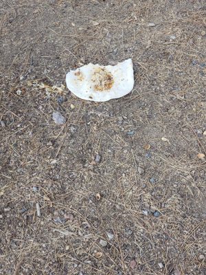 Holiday Harbor - Shasta Lake House Boat Rentals & Marina by null