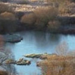 Arundel Wetland Centre - from website