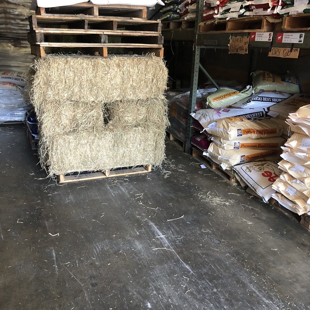 Straw bales - $13.75