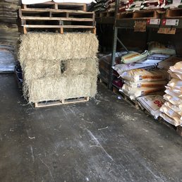 Straw bales - $13.75