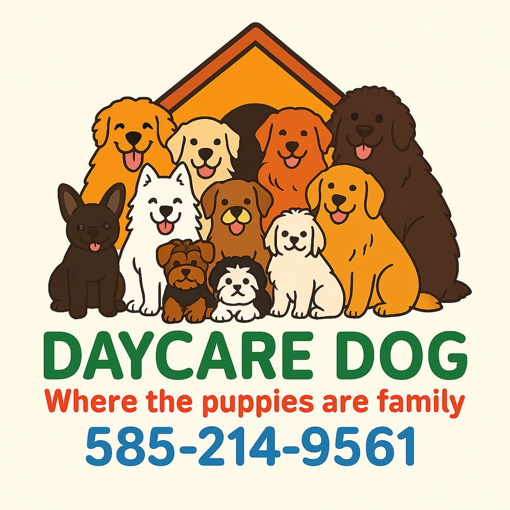 Dog Bath - pet boarding facility in Brighton, NY