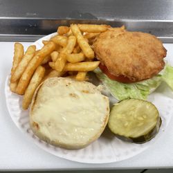 Teddy's Treats At Verona Beach State Park - Breaded chicken fillet sandwich with fries!