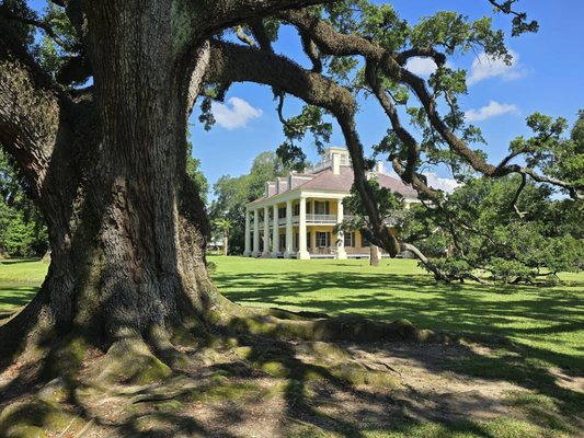 Houmas House Estate and Gardens by null