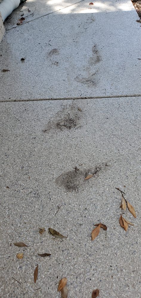 Slide of BAY TO BAY EXTERIOR CLEANERS