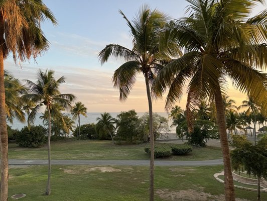 Hilton Ponce Golf & Casino Resort by null