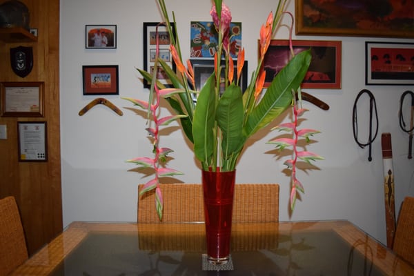 South Pacific BnB Clifton Beach, Cairns Queensland by null