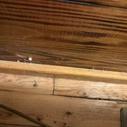 Five Points Lake Hamilton - Dust and spiders along baseboards