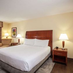 Hilton Garden Inn El Paso / University - Guest room