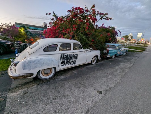 Havana Spice by null
