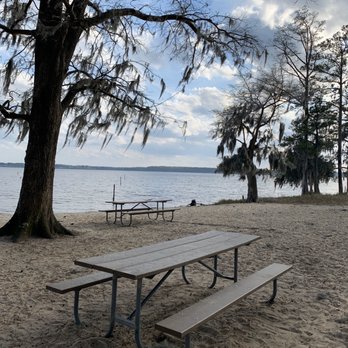 Goose Creek State Park - Waterfront dining - Parks Near Me - Washington, North Carolina