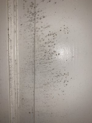 Darden Real Estate Company