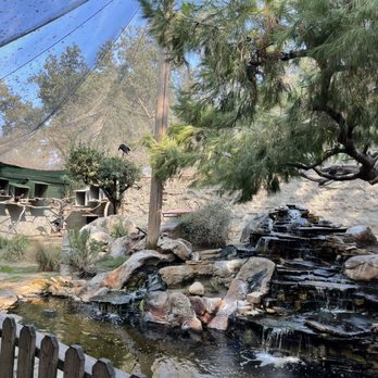 Micke Grove Park - Zoo - Parks Near Me - Lodi, California