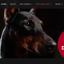 IGNITE MEDIA - Homepage for a local doberman kennel.