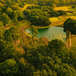 Live Oaks Golf Club