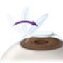 Eye Care Physicians & Surgeons of New Jersey