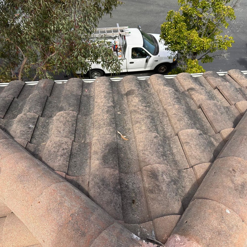 Pristine Power Pressure Washing - Before - Pressure Washers Near Me - San Jose, California