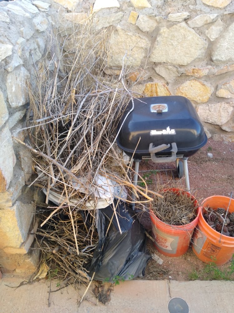 Before and after trash removal Yelp