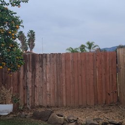 They removed the maple tree and cleaned up really nice. They removed the maple tree and cleaned up really nice.
