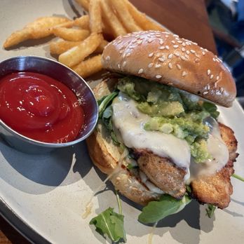 Assembly House - Cali chicken - Wine Bars Near Me - Sunnyvale, Texas Assembly House - Cali chicken - Wine Bars Near Me - Sunnyvale, Texas