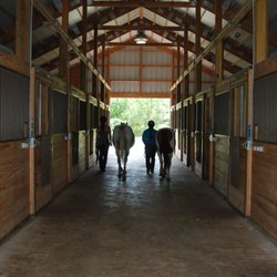 SS Equestrian Services