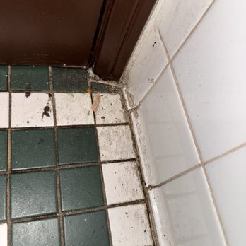 Zito's Pizza - Bathroom needs regular cleaning. - Pizza Near Me - Orange, California Zito's Pizza - Bathroom needs regular cleaning. - Pizza Near Me - Orange, California