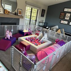 Rapid Fun Rentals - Pretty in pink package