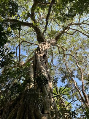 Vallarta Botanical Gardens AC by null