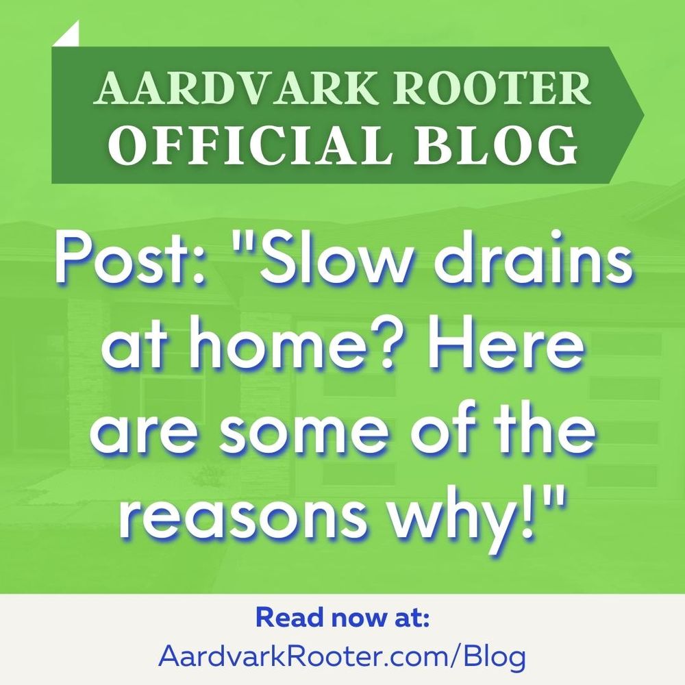 Slide of Aardvark Rooter