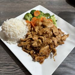 Pinto Thai Kitchen - Garlic Chicken Lunch Special with rice