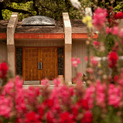 Diane Brach Hypnotherapy - Building entrance