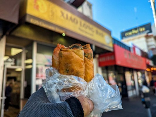 Xiao Long Bao by null