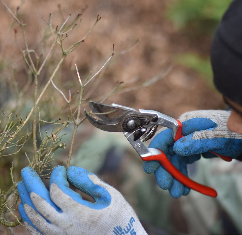 Thomas J Tree & Garden Care - tree service in North Bend, WA