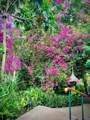 Coco Grove Beach Resort by null