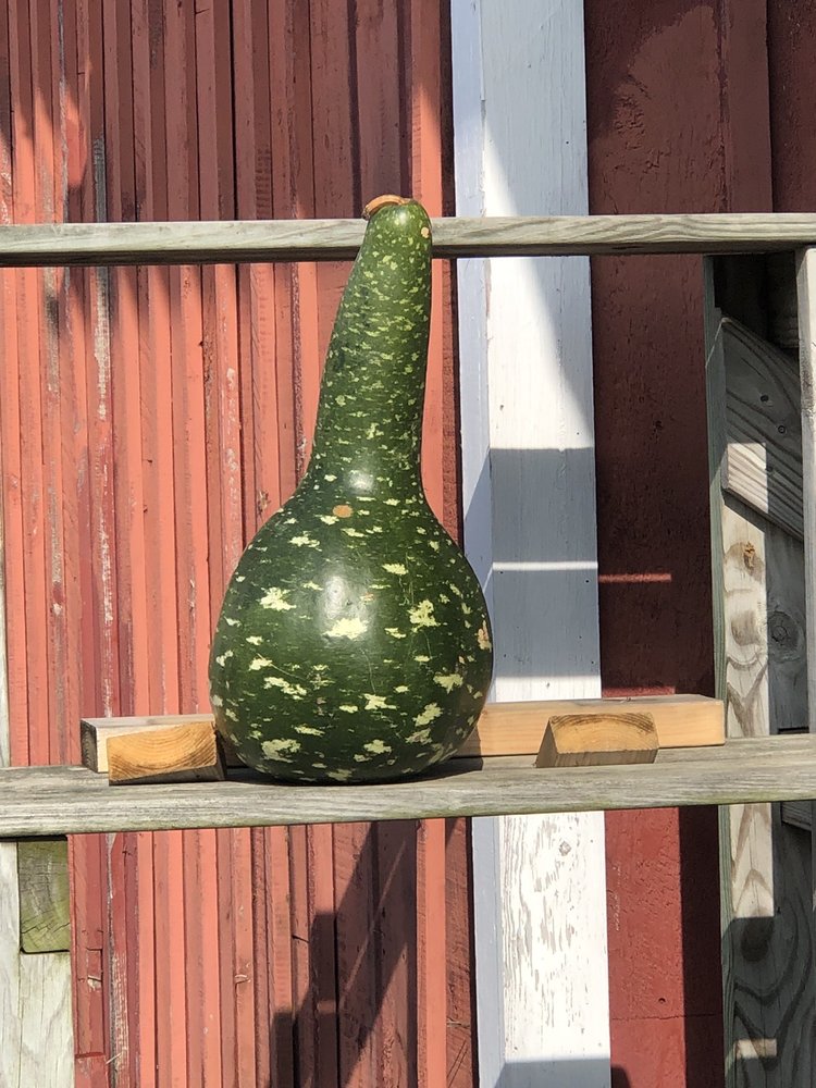 CLARK’S FARM STAND Updated October 2024 380 Main St, Damariscotta