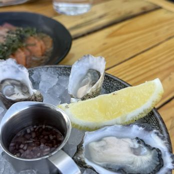 Doto Restaurant - Oysters - Coffee & Tea Near Me - Los Angeles, California Doto Restaurant - Oysters - Coffee & Tea Near Me - Los Angeles, California