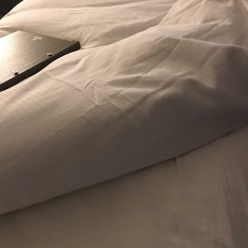 Hilton Fort Collins - Bed - Hotels Near Me - Fort Collins, Colorado