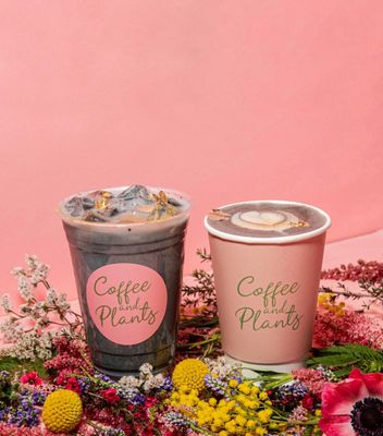 Coffee and Plants by null