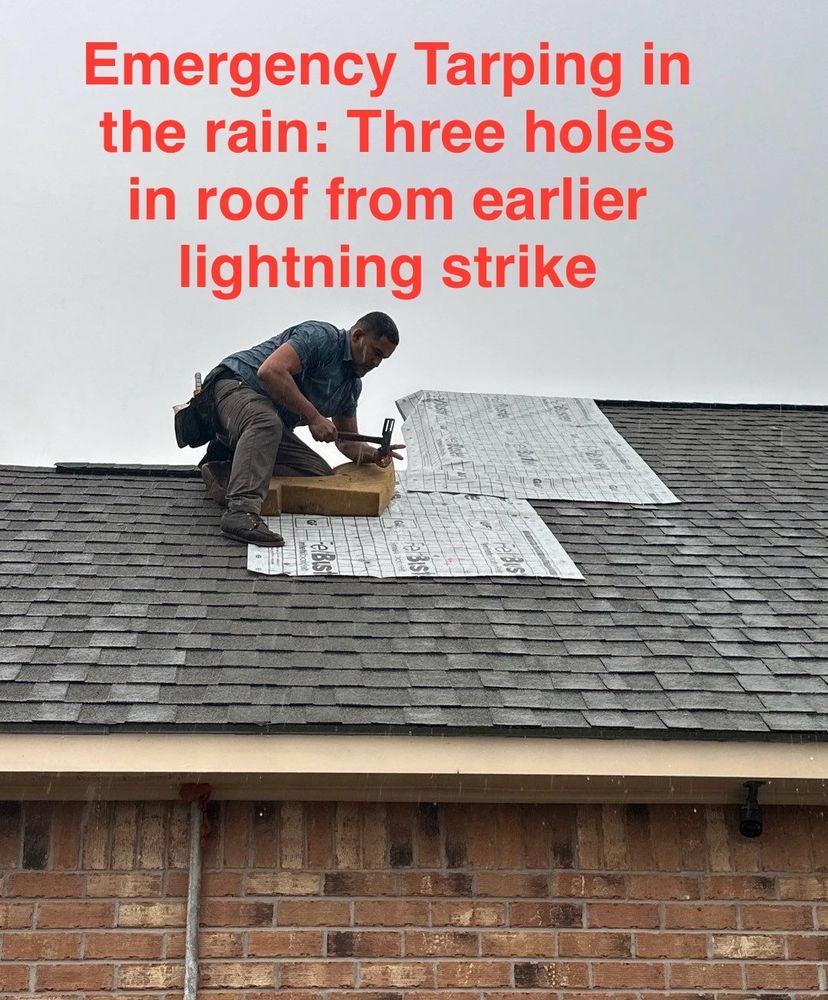 Slide of Roofelangelo