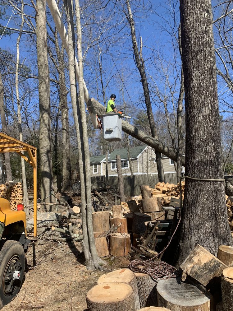 JTE & Company - tree service in Oxford, MA