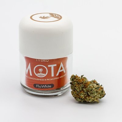 MOTA - Medicine Of The Angels by null