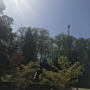 Kenny Tree - Tree Services Near Me - Snohomish, Washington Kenny Tree - Tree Services Near Me - Snohomish, Washington