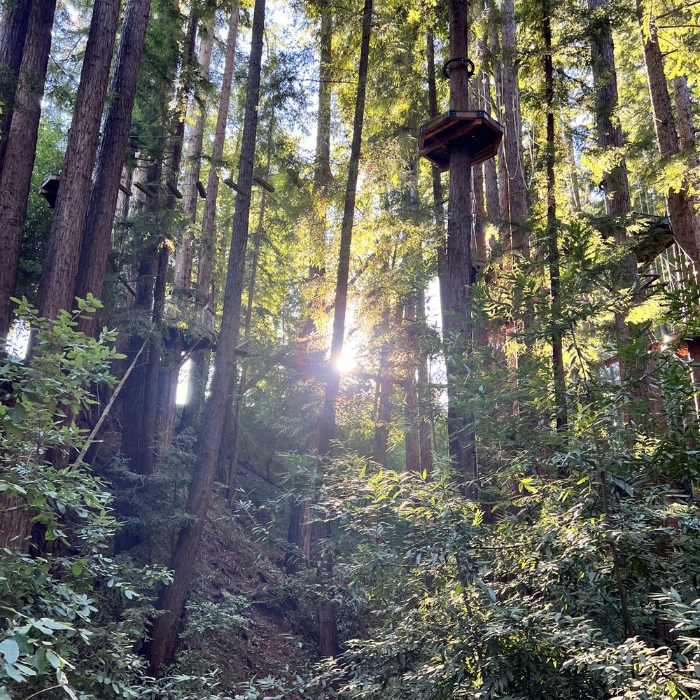 Mount Hermon Adventures - Challenge Courses Near Me - Mount Hermon, California Mount Hermon Adventures - Challenge Courses Near Me - Mount Hermon, California