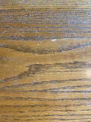 The Dodging Duck Brewhaus & Restaurant by null