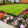 Photo of All American Home and Lawn