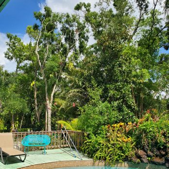 High Life Studio - Tree Services Near Me High Life Studio - Tree Services Near Me