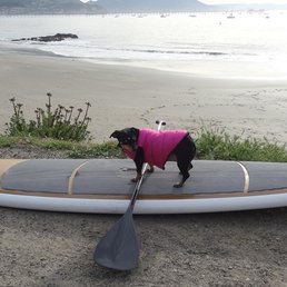 Trudy's Ride to Good Health... Trudy's Ride to Good Health...